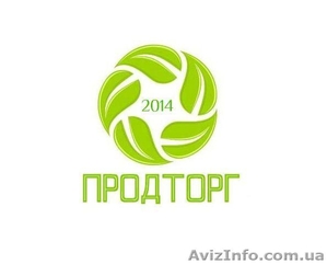 Многоразовая,  качественная и лучшая упаковка под перепелиное яйцо #1293348