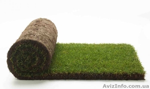 Газон рулонный Харьков #1304414