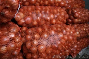 Лук репчатый в сетках #1301802