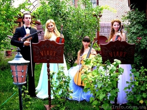 Заказать живую музыку на мероприятие,  живая музыка в Киеве,  на свадьбу #1302331