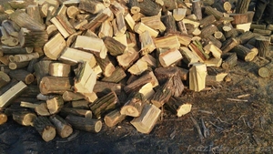 Дрова- дешевый обогрев зимой. #1303832