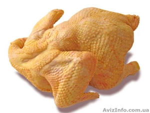 Продам тушку домашней курицы-бройлер. #1300746