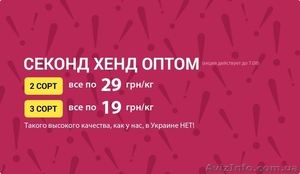 Центр сортировки и оптовой продажи секонд хенд Bonano #1298305
