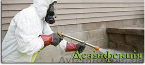 Услуги по уничтожению вредителей: тараканов,  клопов,  блох,  комаров,  клещей,  ос,   #1299103