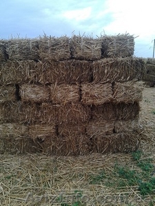 Кули из камыша,  снопа,  утеплитель #1307151