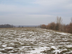 Продам земельный участок,  пай  #1306386