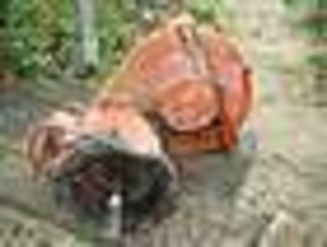 коробка передач (КПП т 25 - главная передача) трактора Т-25 хтз бортовые передач #1304665