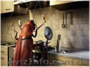 Дезинсекция помещений газом. Уничтожение насекомых #1300691