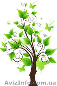 Помогаем людям в юридических вопросах #1306159