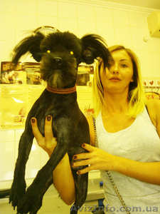 Тренинг для владельцев животных    #1299696