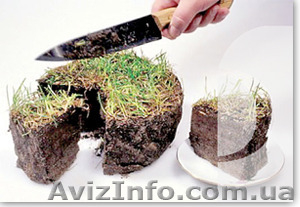 Своевременные консультации по земельному праву #1298208