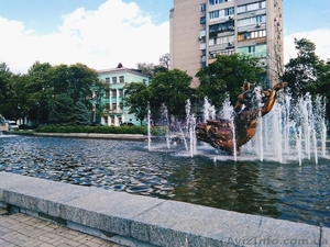 Сдаю долгосрочно 1 к. Центр! #1308014