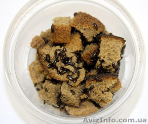 аргетинский жук #1316130