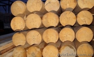 Пиломатериал дуба и хвойных пород #1312600