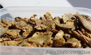 Куплю прополіс в будь-яких кількостях #1318724