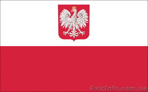 Получение ВНЖ и ПМЖ в Польше #1314042