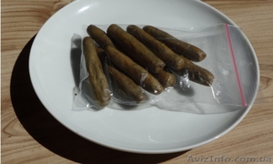 Продам прополіс в будь-яких кількостях #1318725