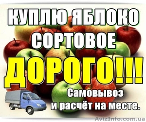 Куплю яблоко сортовое,  дорoго. #1314087