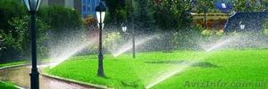 Система автополива #1316879