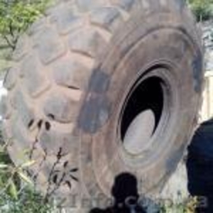 Шина 29.5 R25  Triangle TB516 #1316356