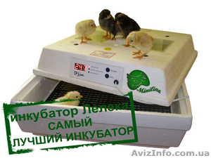Инкубаторы Лелека для яиц #1319068