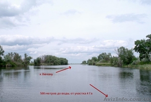 Срочно! Обменяю или продам земельный участок 4 га в лесу возле лимана #1309524