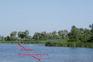 Срочно! Продам или обменяю участок 2+2  в лесу возле лимана #1309526