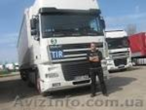 водители за границу #1318030