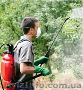 Обработка сада от болезней и вредителей  #1319563