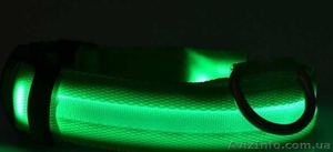 Светящиеся ошейники для домашних животных #1326243
