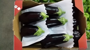 Баклажаны из Испании #1329031