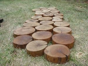 Брусчатка деревянная #1319649