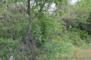 Продается земельный участок Гурзаф,  Ялта 2 сот #1327049