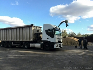 Грузоперевозки зерновозами и масловозами по Украине #1329894