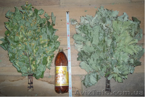 Веники для бани,  25 грн. с доставкой #1324362