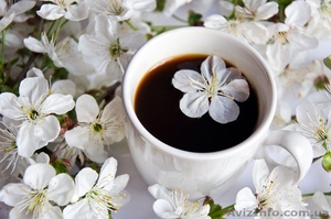 Приглашаю на ОЗДОРОВИТЕЛЬНЫЙ МАССАЖ ! Елена #1325923