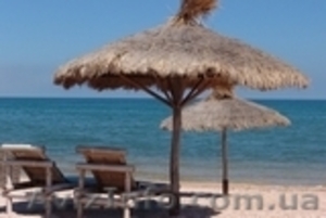 Отдых по европейским стандартам на берегу Азовского моря! #1330568