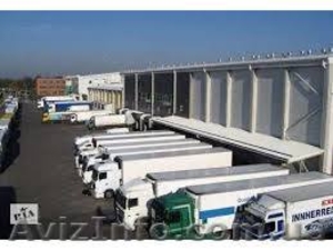 Легальная работа в Польше для водителей #1321879