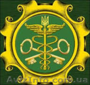 Таможенно - брокерские услуги #1324104