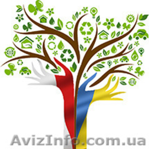 Польский язык по эксклюзивной методике #1327636