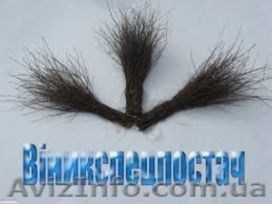 Метла березовая,  веники березовые #1326795