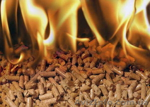 Куплю пеллеты  #1319884