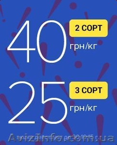 Акция от Бонано #1327533