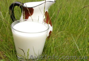 ФЕРМЕРСКОЕ МОЛОКО ОПТОМ #1322266