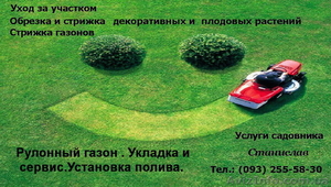 Рулонный газон . Укладка и сервис.Установка автоматического полива. #1321102