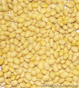 Насіння сої Аннушка,  Алмаз,  Аметист,  Антрацит #1333435