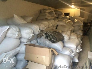 Пшеница 3 грн за 1 кг   #1336244