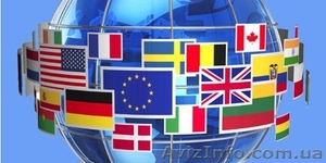 Перевод тендерной документации Французский #1335281