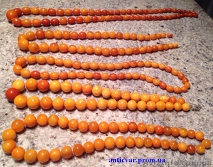 Янтарные бусы,  коралловые бусы,  бивни животных и т.д. Купим дорого #1342112