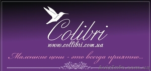 интернет магазина Колибри #1343076